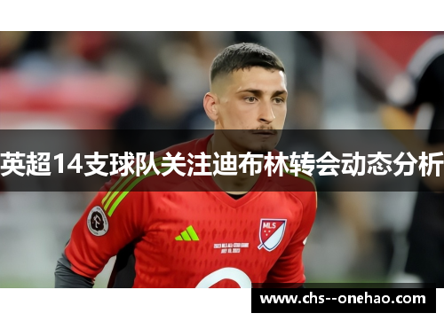 英超14支球队关注迪布林转会动态分析 英超14支球队关注迪布林转会动态分析