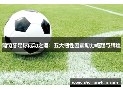 葡萄牙足球成功之道：五大韧性因素助力崛起与辉煌
