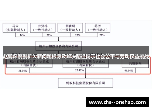 赵鹏深度剖析欠薪问题根源及解决路径揭示社会公平与劳动权益挑战