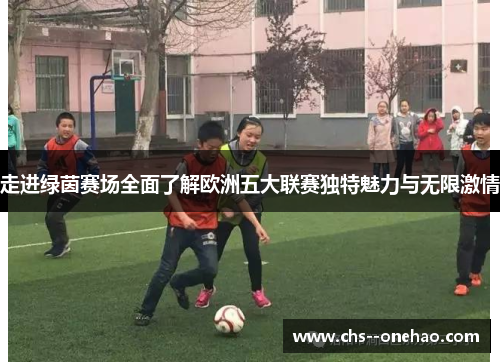 走进绿茵赛场全面了解欧洲五大联赛独特魅力与无限激情 走进绿茵赛场全面了解欧洲五大联赛独特魅力与无限激情