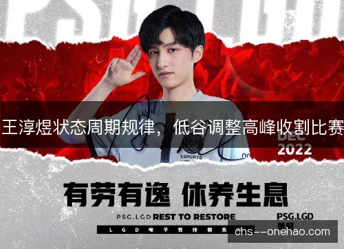 王淳煜状态周期规律，低谷调整高峰收割比赛